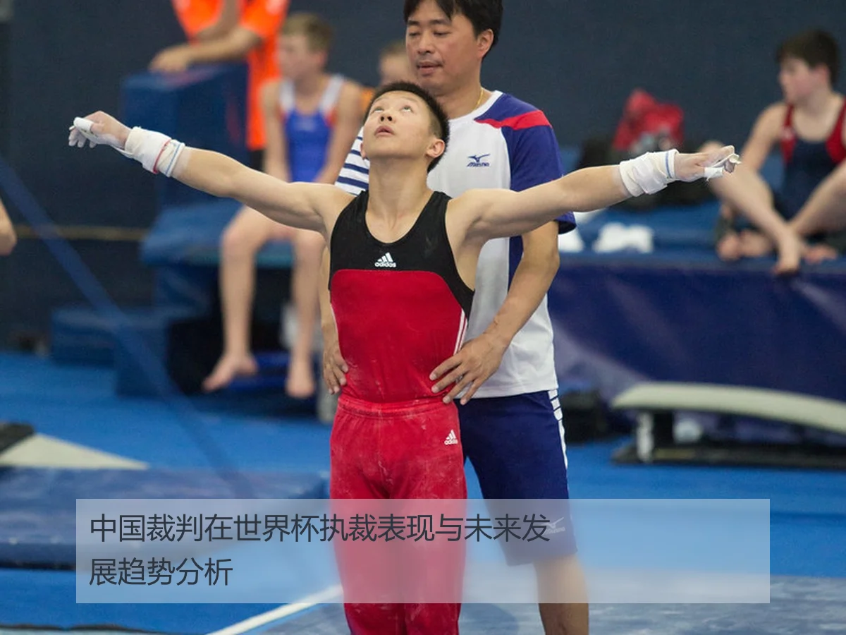 中国裁判在世界杯执裁表现与未来发展趋势分析