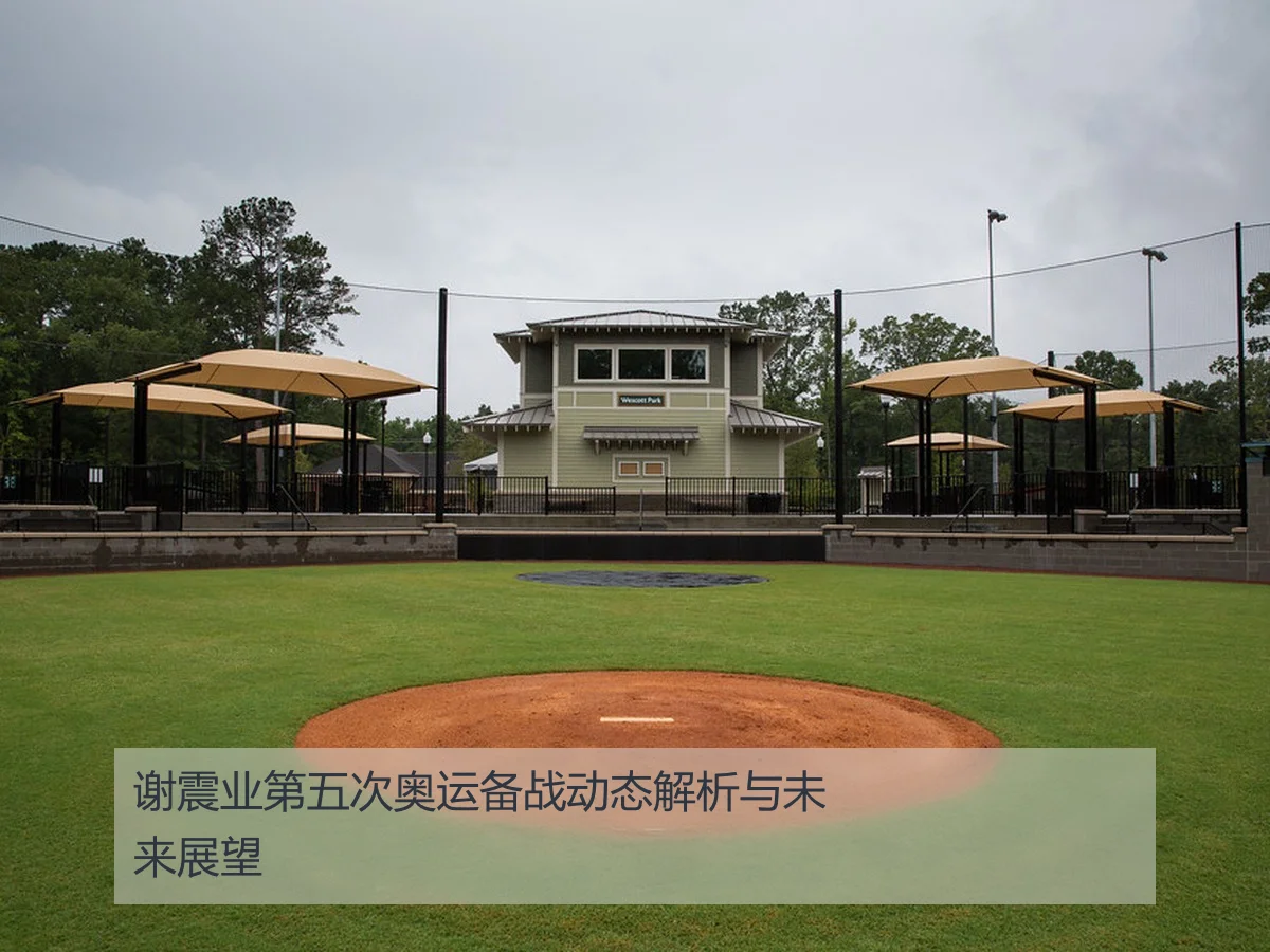 谢震业第五次奥运备战动态解析与未来展望