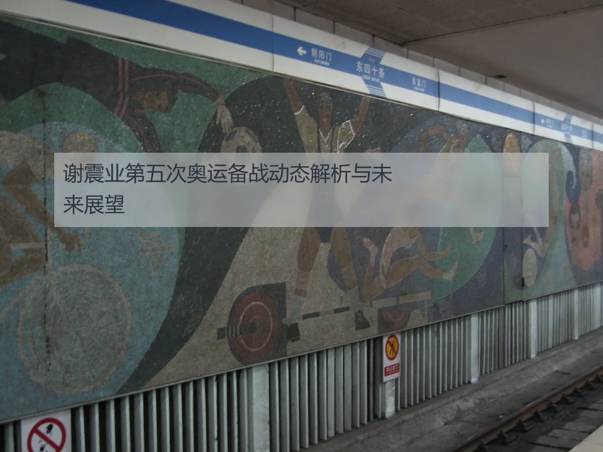 谢震业第五次奥运备战动态解析与未来展望